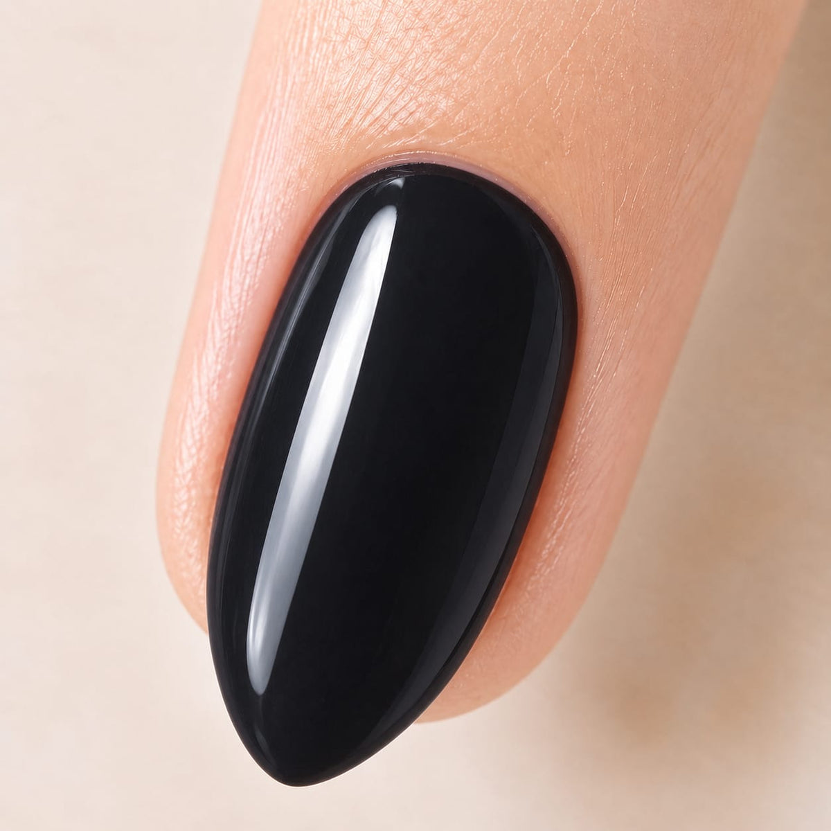 Midnight Obsidian
